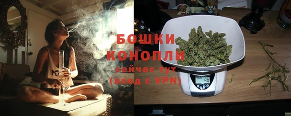 каннабис Богданович