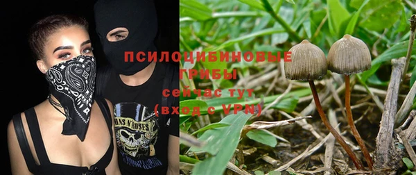 каннабис Богданович